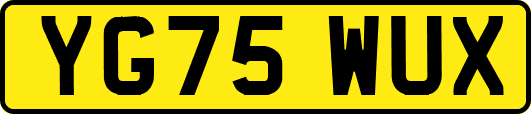 YG75WUX