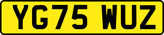 YG75WUZ