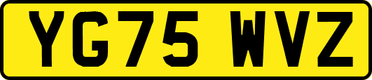 YG75WVZ