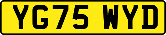YG75WYD