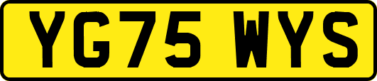YG75WYS