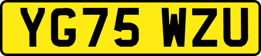 YG75WZU