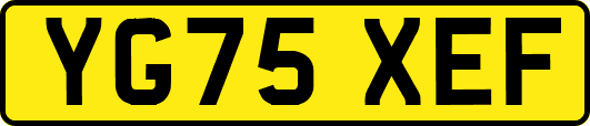 YG75XEF