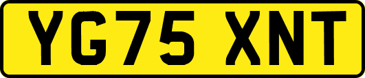 YG75XNT