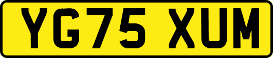 YG75XUM