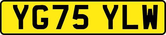 YG75YLW