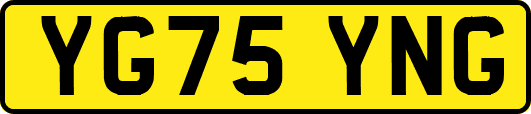 YG75YNG