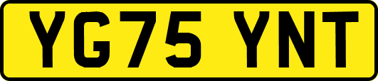 YG75YNT