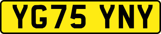 YG75YNY