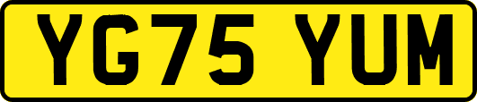 YG75YUM