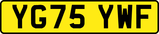 YG75YWF
