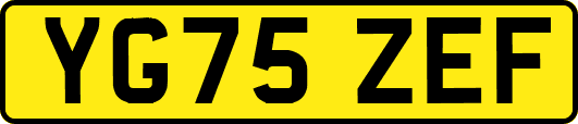 YG75ZEF