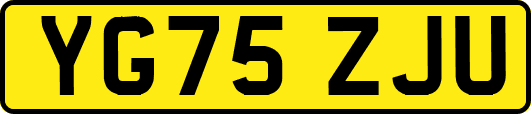 YG75ZJU