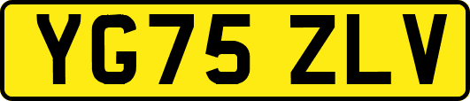 YG75ZLV
