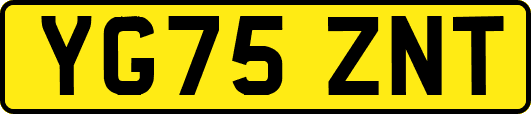 YG75ZNT