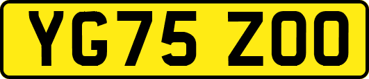 YG75ZOO