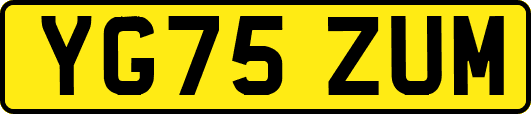 YG75ZUM