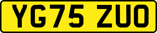 YG75ZUO