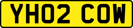 YH02COW