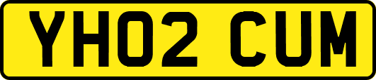 YH02CUM
