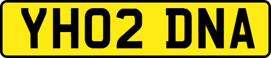 YH02DNA