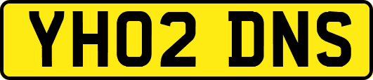 YH02DNS