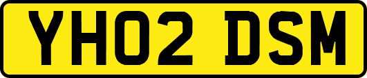 YH02DSM