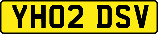 YH02DSV