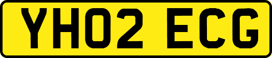 YH02ECG