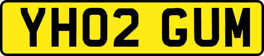 YH02GUM