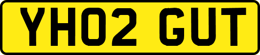 YH02GUT