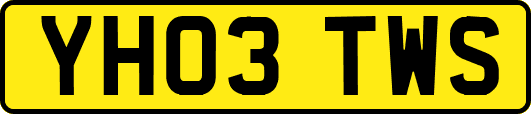 YH03TWS