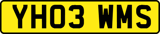 YH03WMS