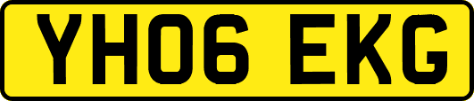 YH06EKG