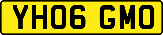 YH06GMO