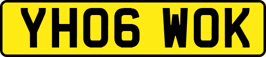 YH06WOK