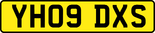 YH09DXS
