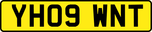 YH09WNT