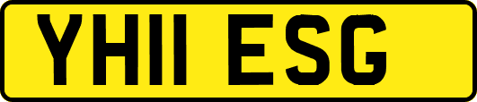 YH11ESG