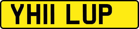 YH11LUP