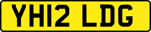 YH12LDG