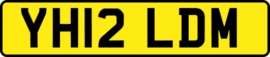 YH12LDM
