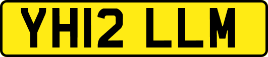 YH12LLM
