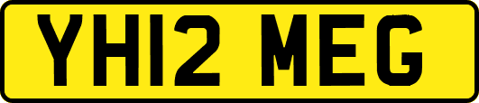 YH12MEG