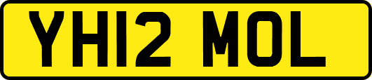 YH12MOL