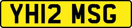 YH12MSG