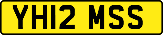 YH12MSS