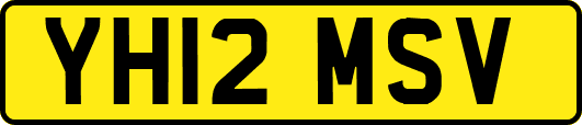 YH12MSV