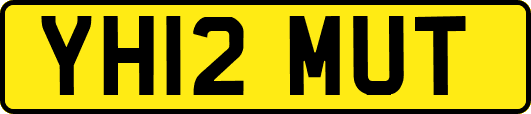 YH12MUT