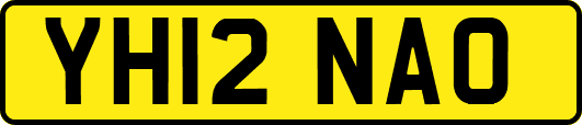 YH12NAO
